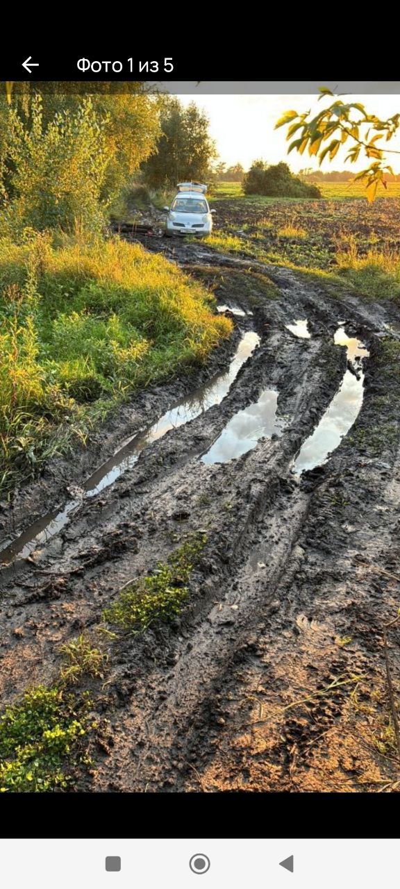 Размытая дорога на закате — Курганская область