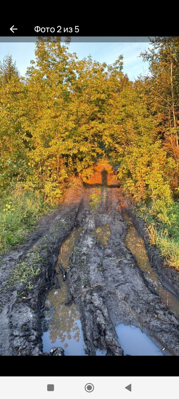 Разбитая грунтовка осенью — бездорожье